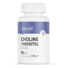  OstroVit Choline + Inositol 90 
