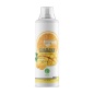  Nature Foods Guarana liquid 500 